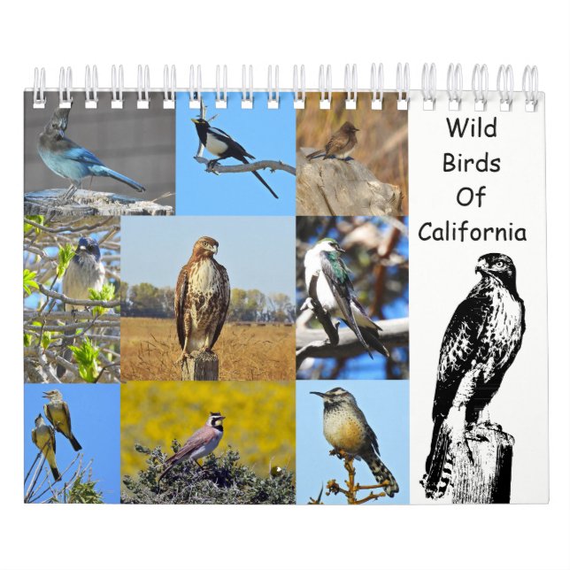 Calendario Calendario, fauna, pájaros salvajes de California (Tapa)