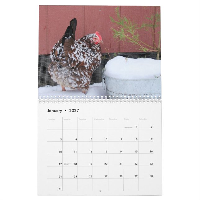 Calendario Calendario: La multitud del polluelo del pollo (Jan 2027)