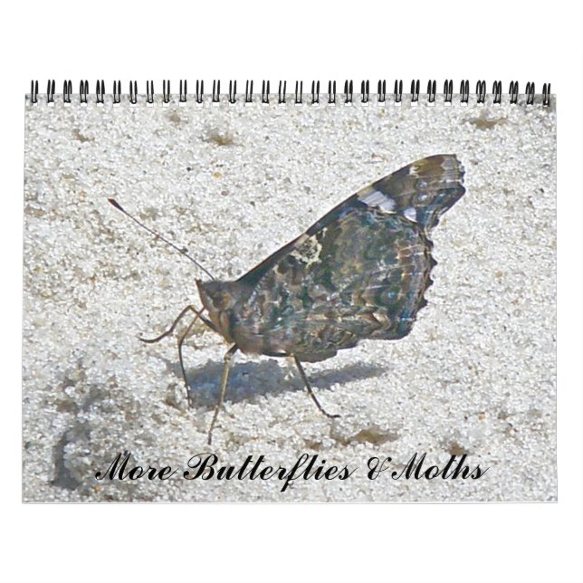 Calendario Calendario: más mariposas y polillas (Tapa)