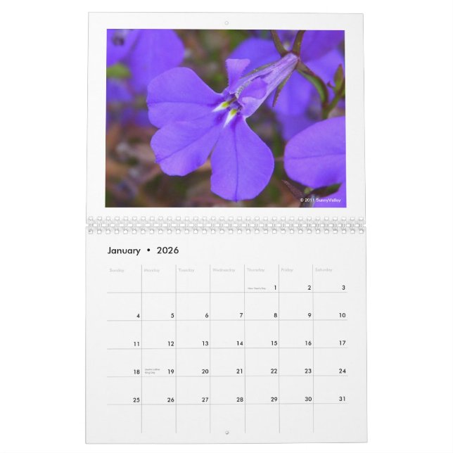 Calendario Calendario: Naturaleza delicada (Jan 2026)