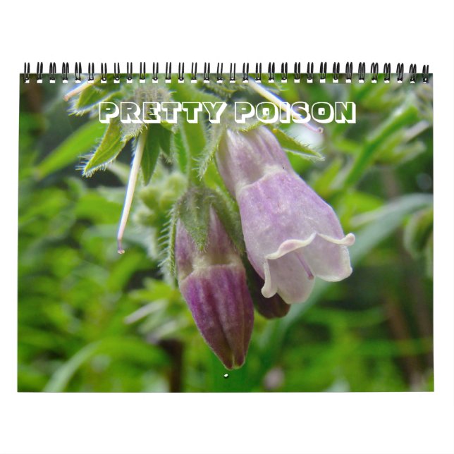 Calendario Calendario: veneno de Bonito (Tapa)