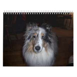 Calendario Calendario-Wheaton 2011 de Gallagher