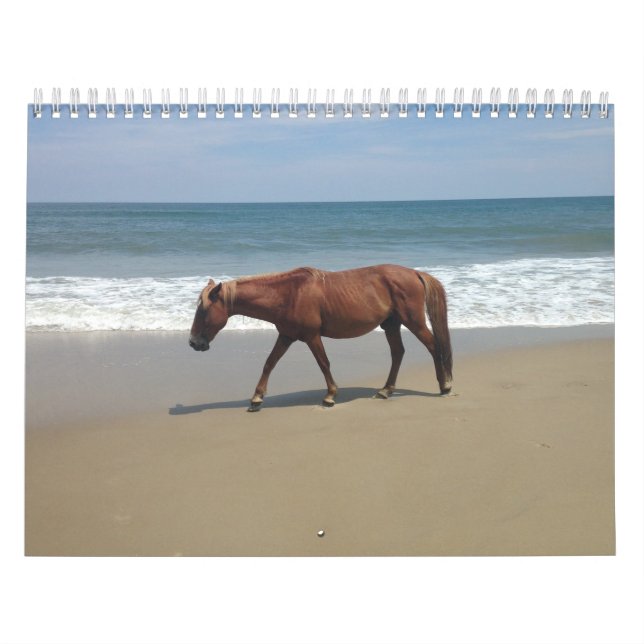 Calendario Calender del medio ambiente natural (Tapa)
