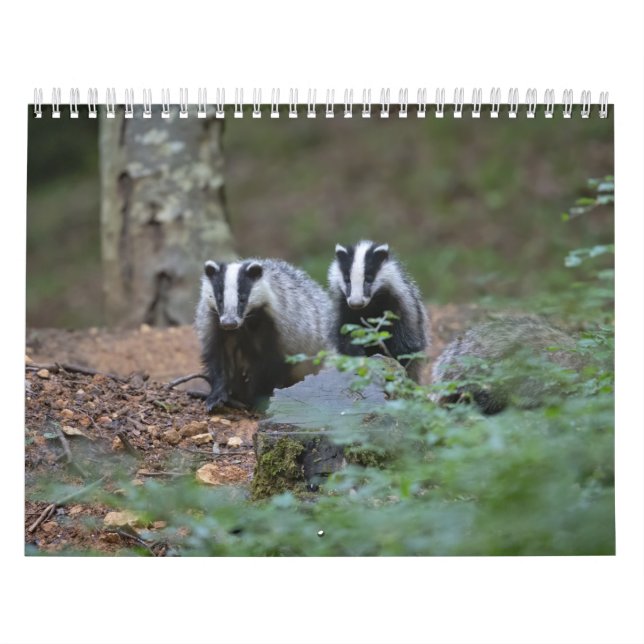 Calendario Calendrier Animaux de la forêt (Tapa)