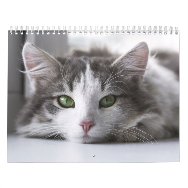 Calendario Calendrier Chat  (Tapa)