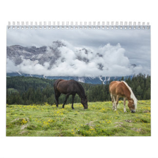 Calendario Calendrier Chevaux
