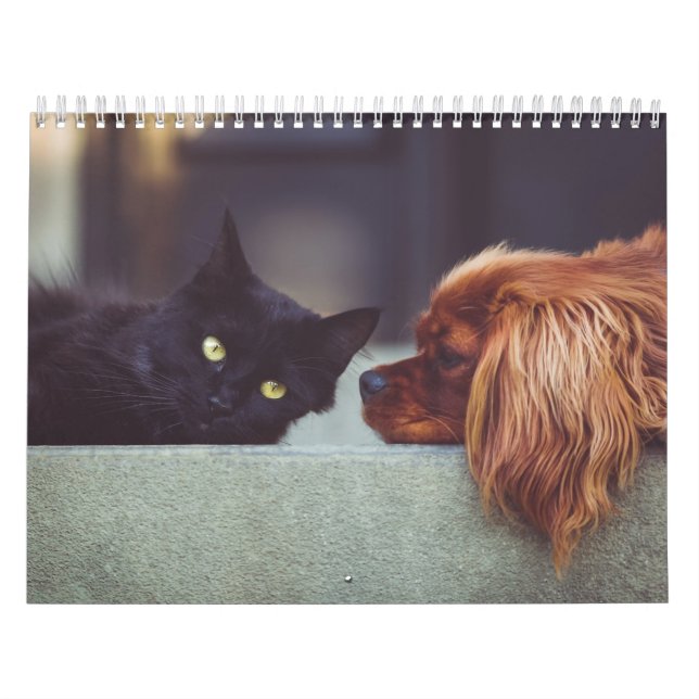 Calendario Calendrier chien et chat (Tapa)