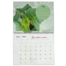 Calendrier Dieu méditation jardin : étoile & notes