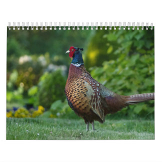 Calendario Calendrier Faisan, Calendar Pheasant