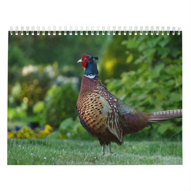Calendario Calendrier Faisan, Calendar Pheasant (Tapa)