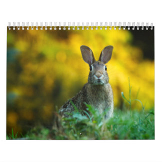 Calendario Calendrier Lièvre Lapin, Calendar Rabbit Hares
