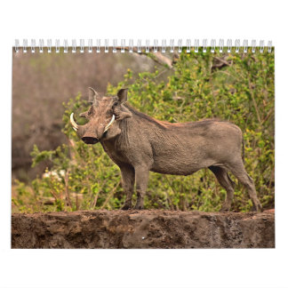 Calendario Calendrier Phacochère Calendar Warthog