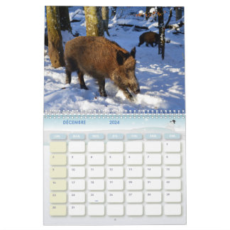 Calendario Calendrier Sanglier, Calendar Boars