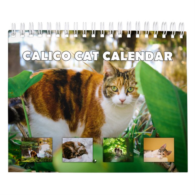 Calendario Calico Cat (Tapa)