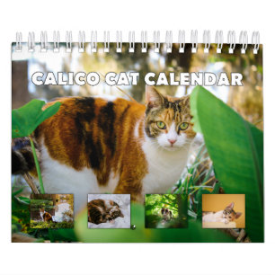 Calendario Calico Cat