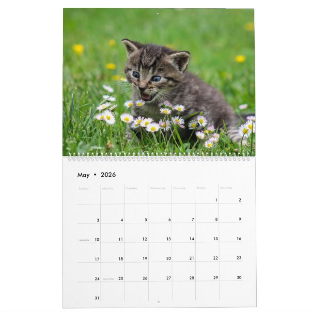 Calendario Cálido gatito Mascota Kitty Gatos Feline 2020 (May 2026)