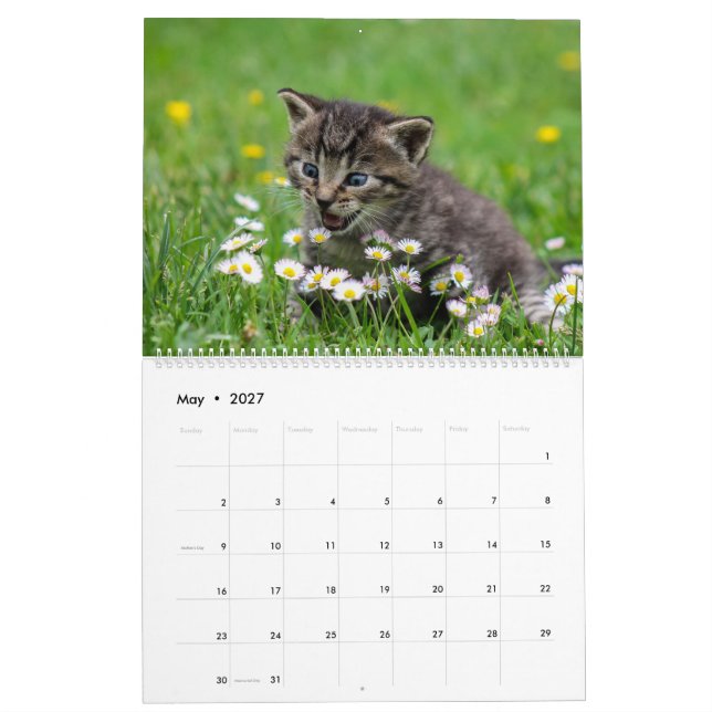 Calendario Cálido gatito Mascota Kitty Gatos Feline 2020 (May 2027)