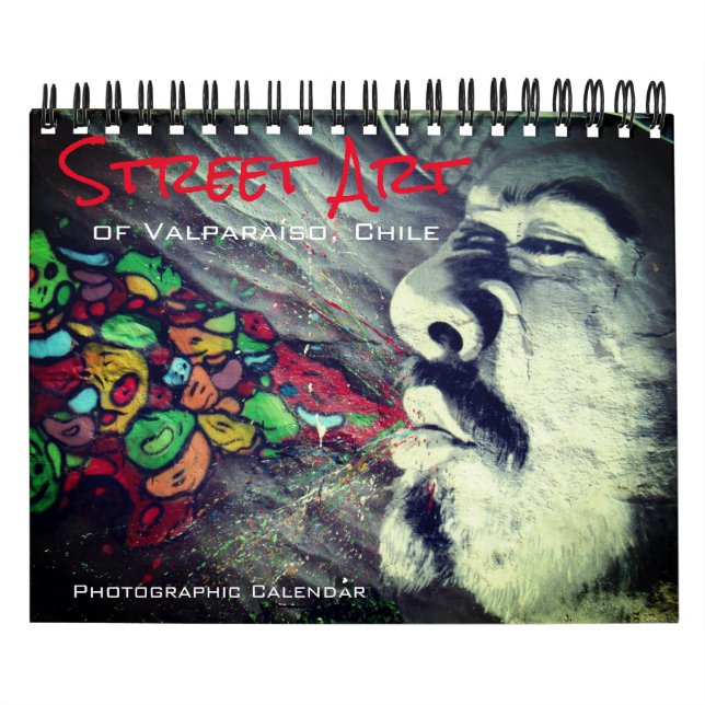 Calendario calle valparaíso art 2025 pequeño (Tapa)