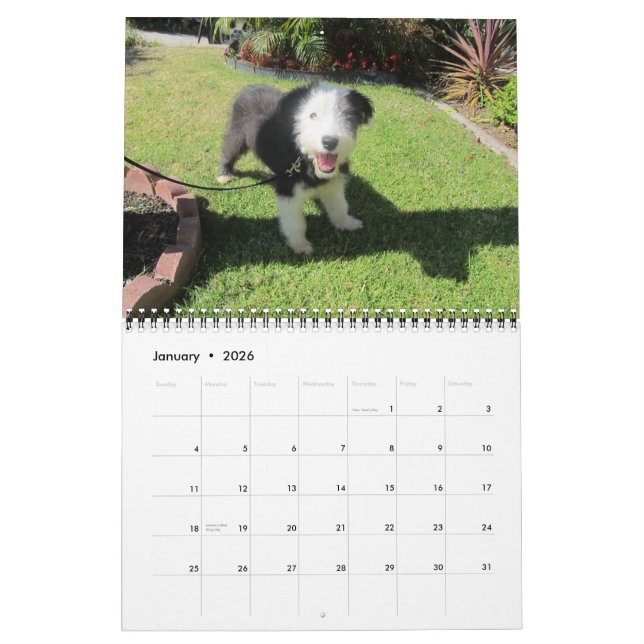 Calendario Cambio de junio de los perritos del 2012 (Jan 2026)