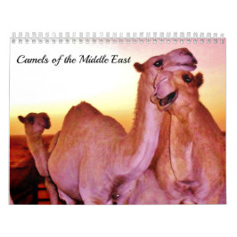 Calendario Camellos del Oriente Medio