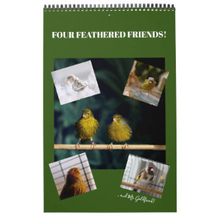 Calendario Canario de Mascotas de pájaros íntimos en calendar