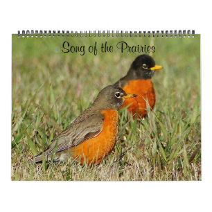 Calendario Canción de las praderas 2014