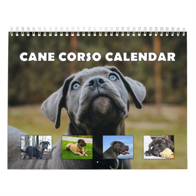 Calendario Cane Corso (Tapa)