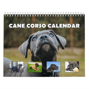 Calendario Cane Corso