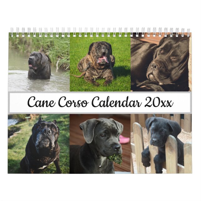 Calendario Cane Corso (Tapa)