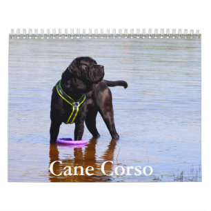 Calendario Cane Corso Dog