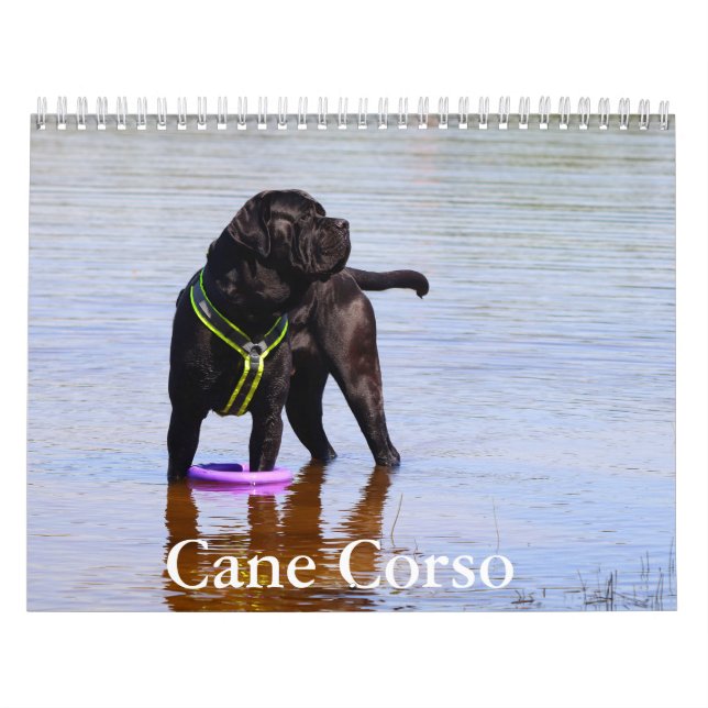 Calendario Cane Corso Dog (Tapa)