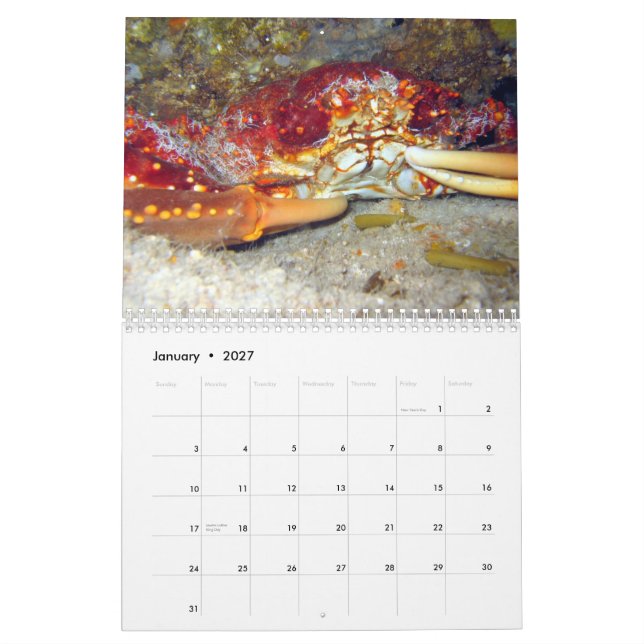 Calendario Cangrejos (calendario 2010) (Jan 2027)