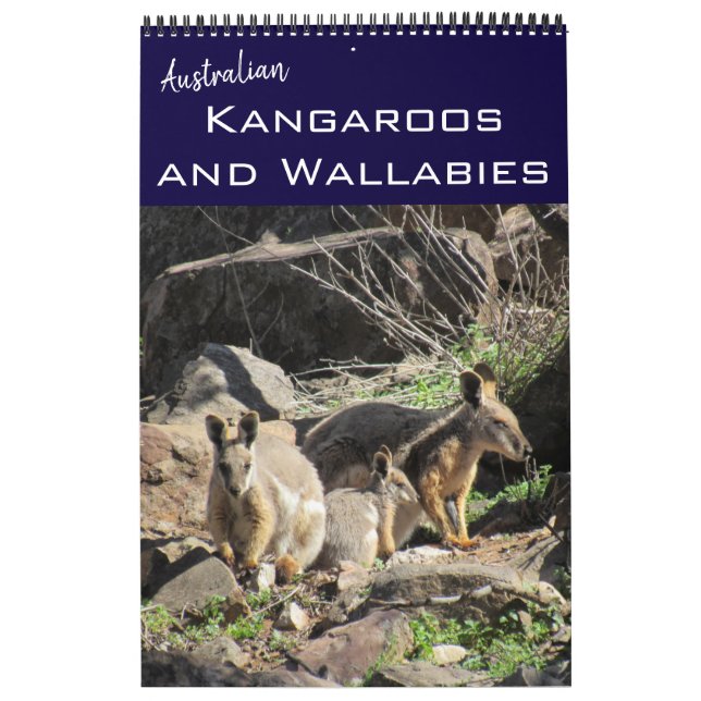 Calendario canguros wallabies 2026 (Tapa)