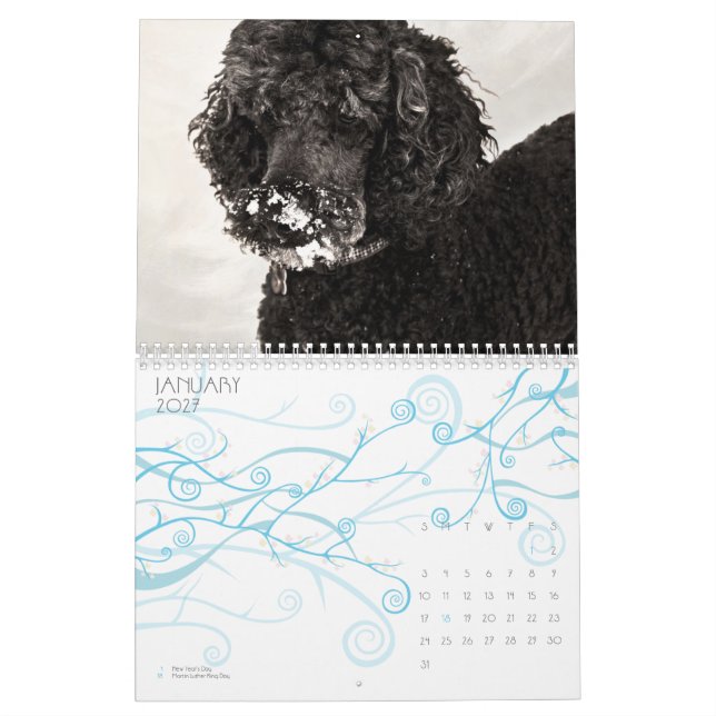 Calendario Caniche estándar 2010 (Jan 2027)