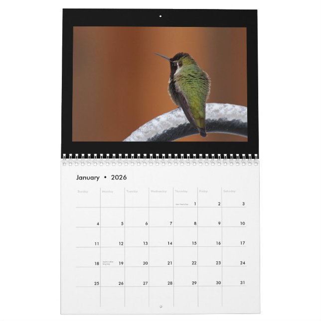 Calendario Cante una nueva canción diaria (Jan 2026)