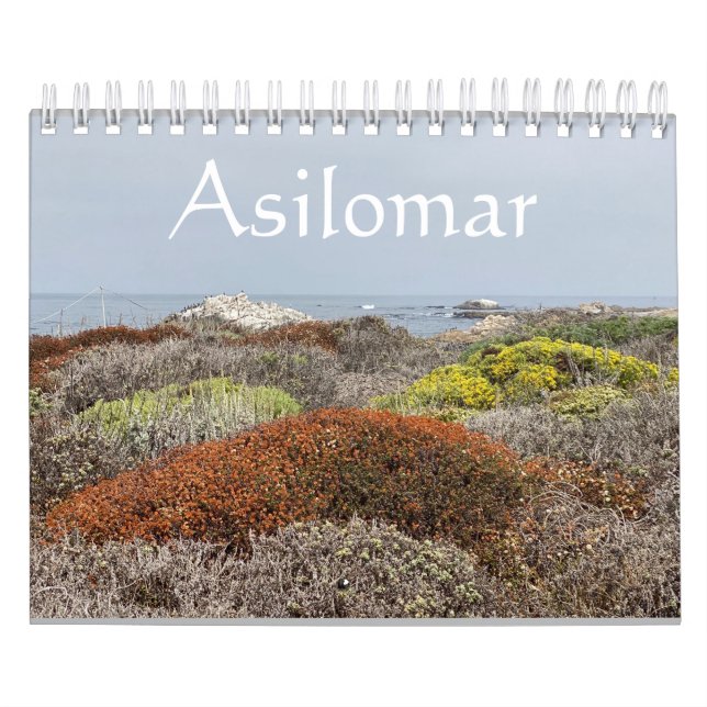 Calendario Canvas de California: Asilomar (Tapa)