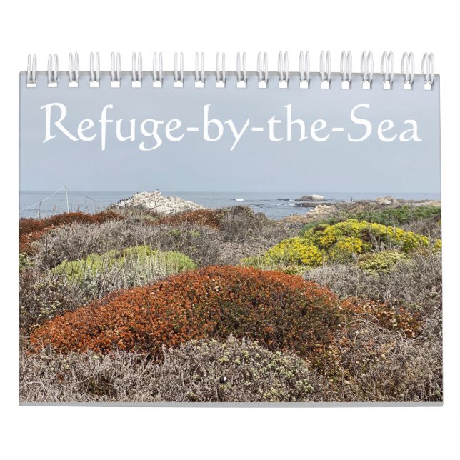 Calendario Canvas de California: Refugio por mar (Tapa)