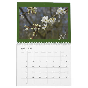 Calendario Captura del calandre de belleza de la naturaleza