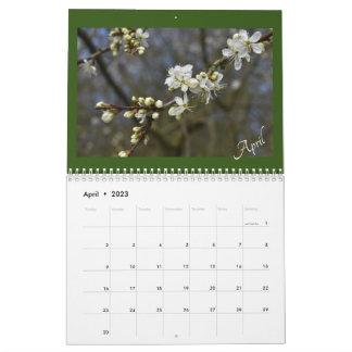 Calendario Captura del calandre de belleza de la naturaleza