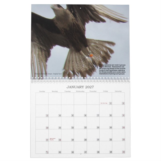 Calendario Caracaras de la Florida (Jan 2027)