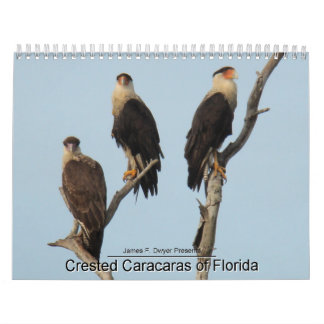 Calendario Caracaras de la Florida