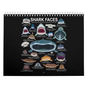 Calendario Caras de tiburón que quieres encontrar