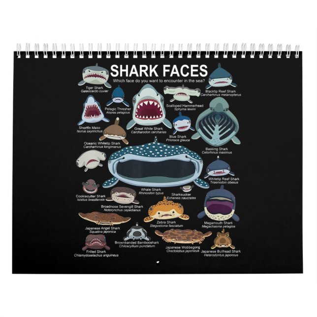 Calendario Caras de tiburón que quieres encontrar (Tapa)