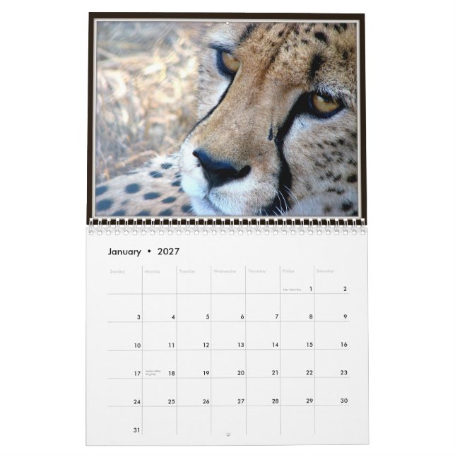 Calendario Caras del animal salvaje (Jan 2027)