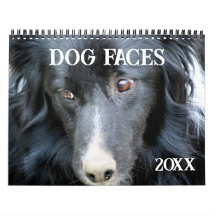 Calendario Caras y expresiones de perros