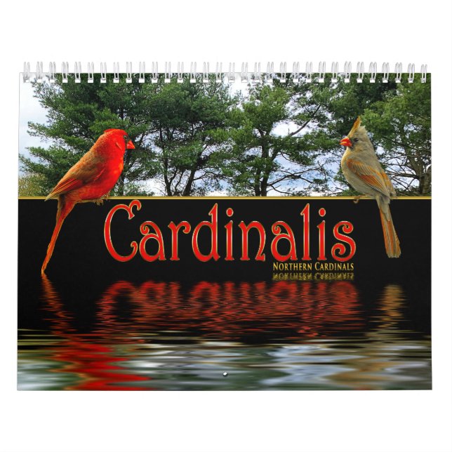 Calendario Cardenales rojos del norte Cardinalis bellas fotos (Tapa)