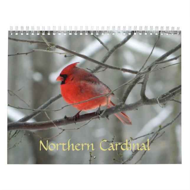 Calendario cardinal septentrional (Tapa)