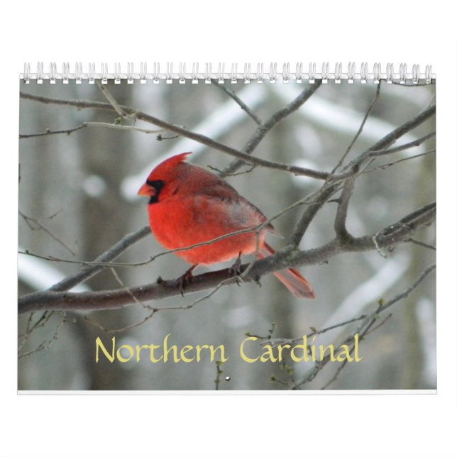 Calendario cardinal septentrional (Tapa)