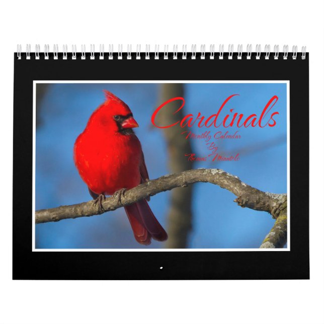 Calendario Cardinals Monthly Calendar By Thomas Minutolo (Tapa)