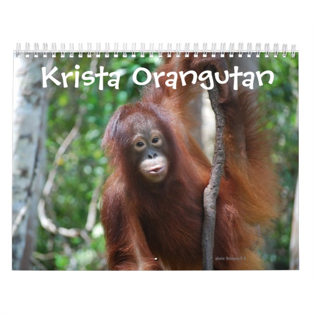 Calendario Caridad de vida silvestre Krista Orangutan (Tapa)